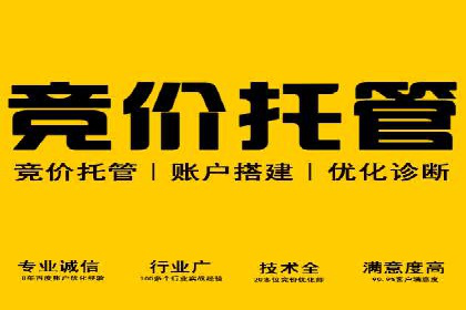 百度竞价广告投放策略：案例分析及效果评估